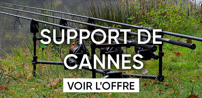 Support de cannes carpe